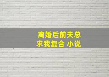 离婚后前夫总求我复合 小说